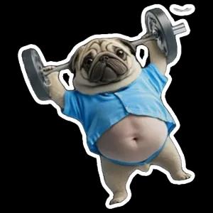 getsticker.com