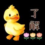 黃毛鴨