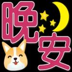 可愛柯基 大字超實用日常生活用語