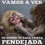 Ya mejor llévame Diosito.