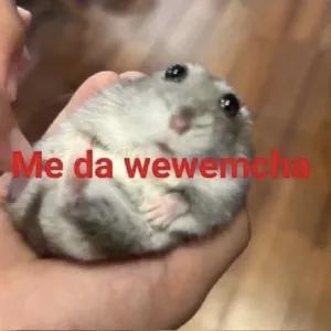 zhCmw7