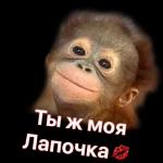 привет.