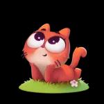 cute cat🐱