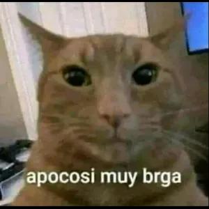 44P0HN