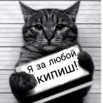 ппппппппппппппр