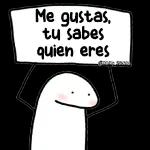 Flork Cartel 😍🥵😎