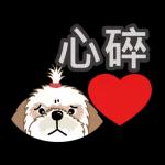 西施迪迪 (日常生活及問候篇)