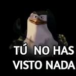 TÚ NO HAS  VISTO NADA
