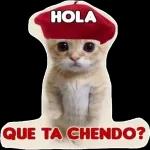 gracias~~~