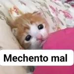 QUE TA CHENDO Dias