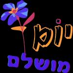 יאיר רומר כאור החמה
