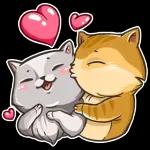 Heute Abend gehören die Sterne dir🌟