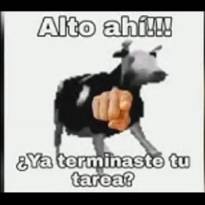 A92Hwt