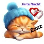 Gute Nacht Schlaf gut