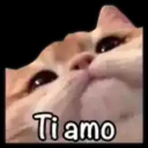 rKZBVX