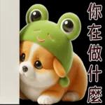 柯基蛙好可愛！