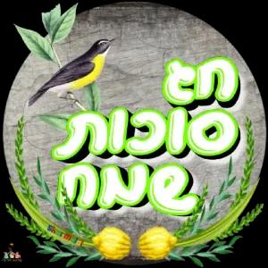 En סוכות ONO Sharm In Refur - getsticker.com