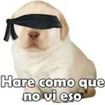 Hare como que no vi eso