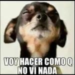 ME Encantas ghough