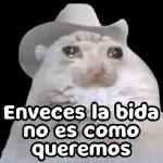 Porque eres así 