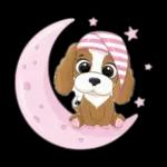 Gute Nacht  