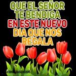 Vickyfas Eres mi dosis perfecta 85
