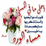 مساء الخير