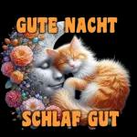 schönen Abend😋