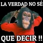 memes 