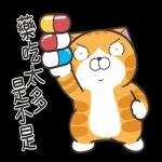 白爛貓51☆腦有動☆