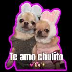 mis estiker 