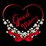 morning is here，morning is here😘😘