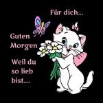 Marie kommt！！！