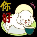 白貴賓犬表情包