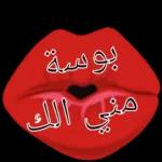 C
مبارك عليكم
شهررمضان
@STKRpro