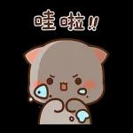 蜜桃貓和小伙伴7