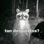mioooooos