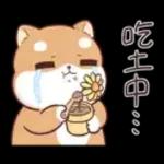 good  morning