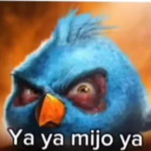 HFwkm1