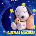 BUENAS NOCHES