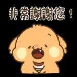 貴賓狗妞妞-好禮貌好親切