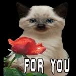 BE HAPPY LJB BE HEALTHY