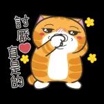 白爛貓58☆名人堂☆