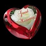 Good morning🌞🌹
