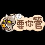 貓爪抓 -小小的你問我答抓-