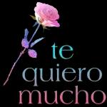 ME GUSTAS
QUISIERA VERTE