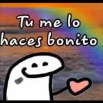 Tu me lo haces bonito