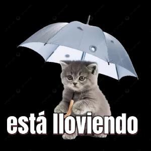 está lloviendo - getsticker.com