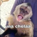 Multa por responder tarde