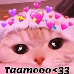 𝒟 - ℰ𝓈𝓂ℯ 𝓍𝒹 ت︎